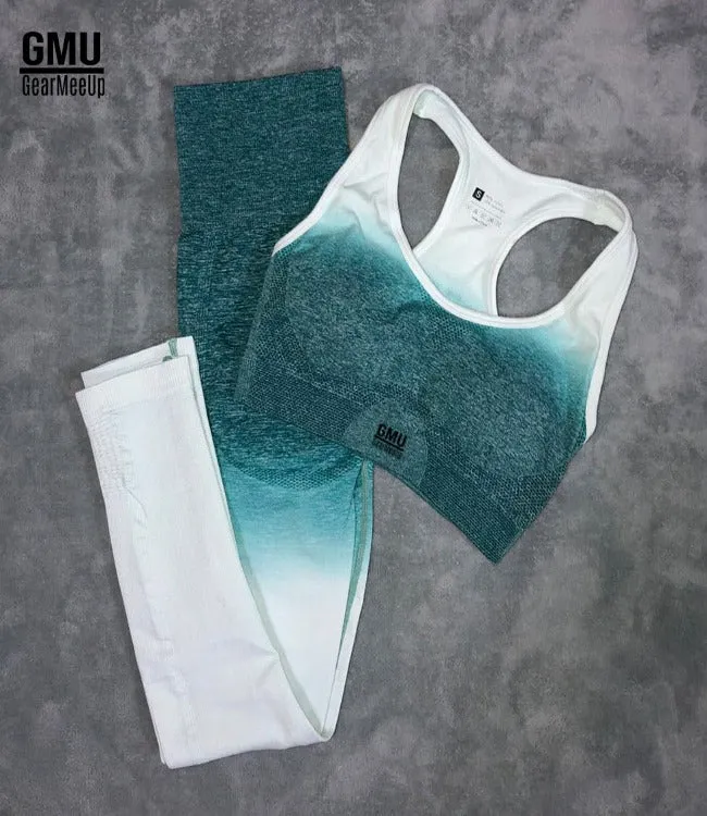 Seamless Ombre Sports Leggings Bra Set