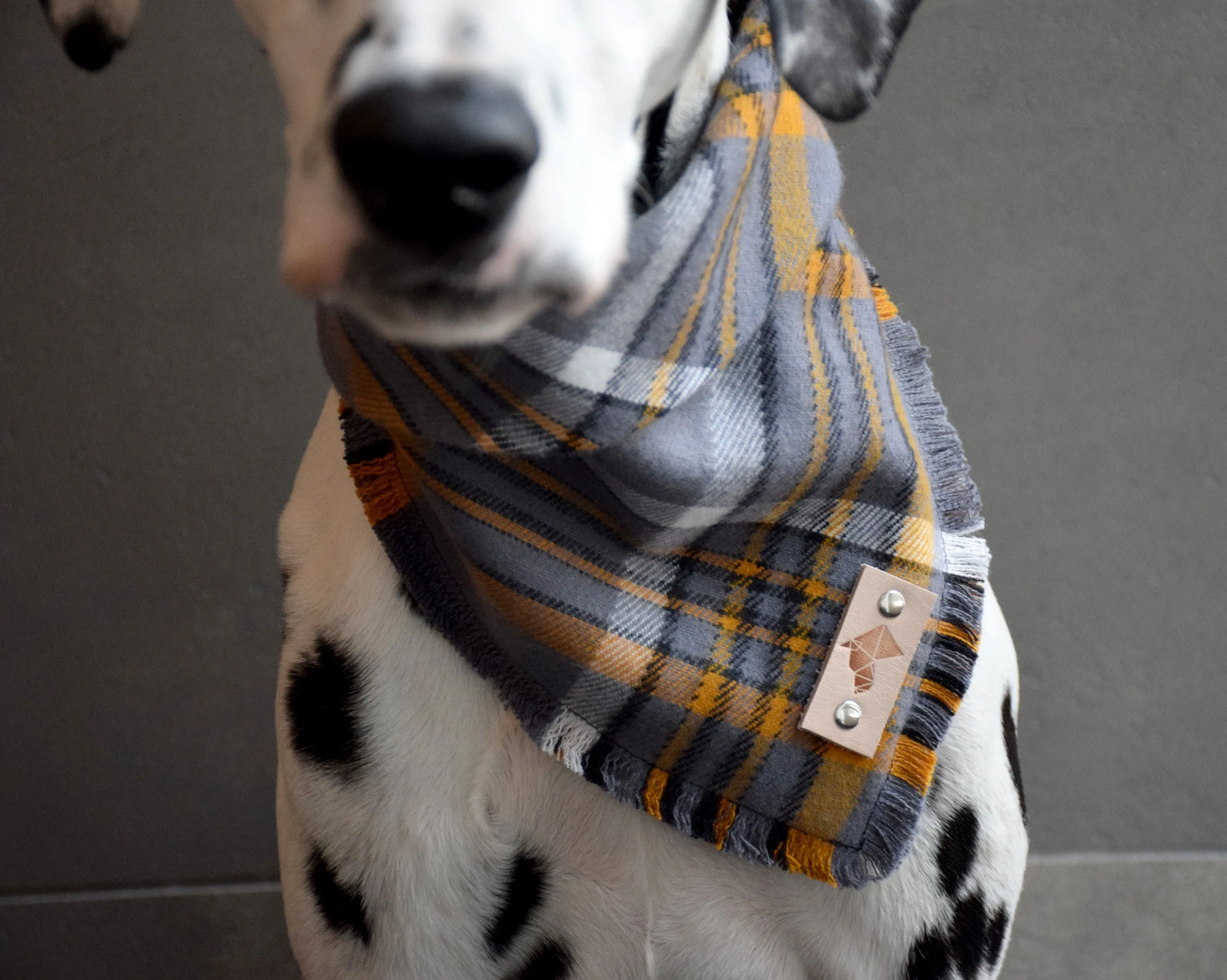 TURMERIC Fringed Flannel Dog Bandana - Snap/Tie On Cotton Scarf