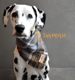 TURMERIC Fringed Flannel Dog Bandana - Snap/Tie On Cotton Scarf