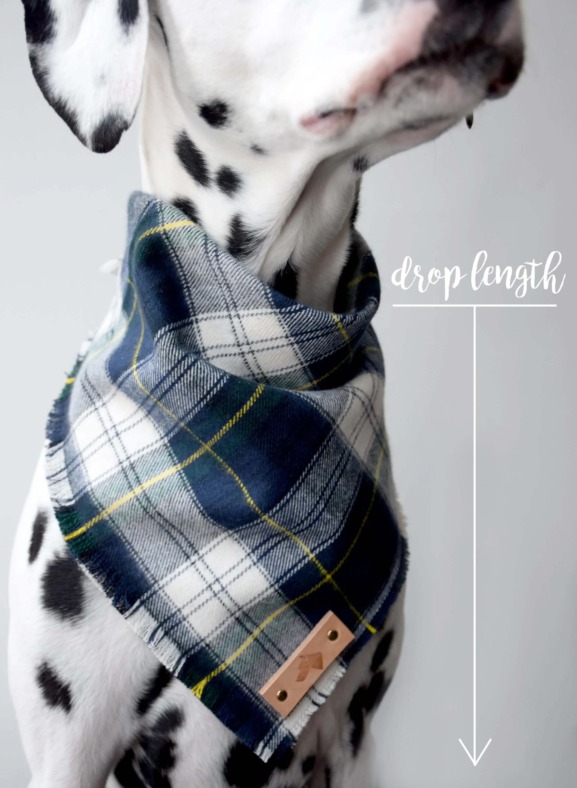 TURMERIC Fringed Flannel Dog Bandana - Snap/Tie On Cotton Scarf